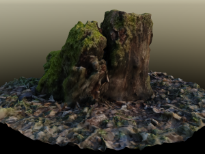 stump in moss 3D Модель