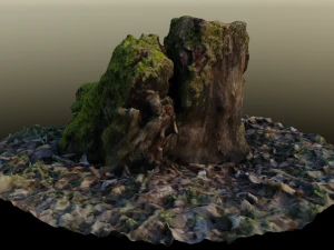 stump in moss 3D Model