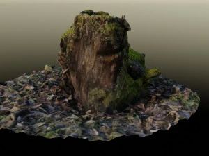 stump in moss 3D Model