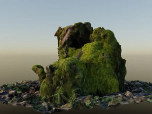 stump in moss 3D Model