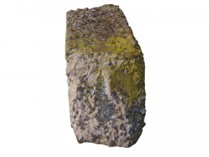 mossy concrete block 3D मॉडल