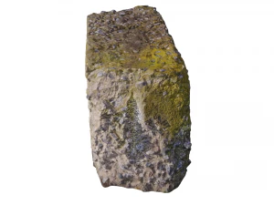 mossy concrete block 3D Model