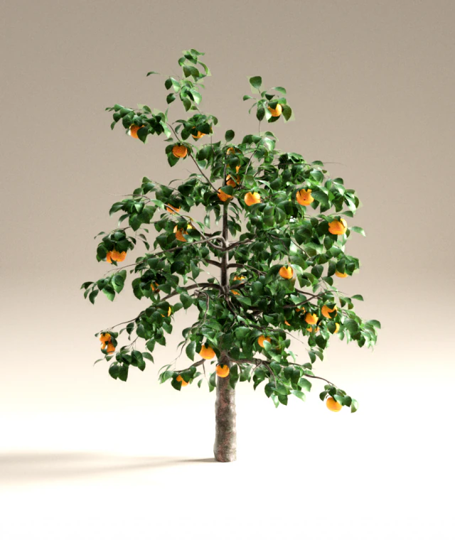 orange tree 3D Model .c4d .max .obj .3ds .fbx .stl .blend 