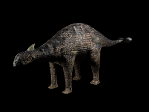 ankylosaurus 3D Model