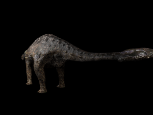 ankylosaurus Modello 3D