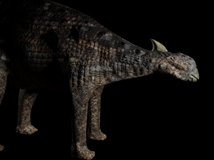 ankylosaurus Modello 3D