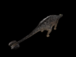 ankylosaurus Modello 3D