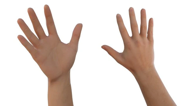 right hand catrig 3D Model .c4d .max .obj .3ds .fbx .stl .blend 