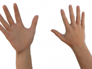 right hand catrig 3D मॉडल