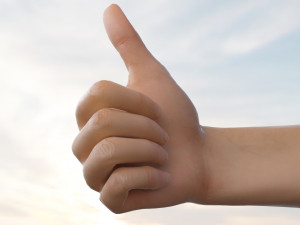 right hand catrig 3D 모델