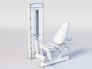 LEG EXTENSION Gym Equipment Model 3D