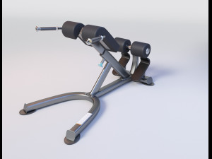 ROMAN CHAIR Gym Equipment Modèle 3D