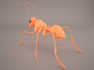 Ant 3D Model