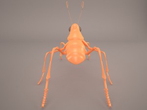 Ant 3D Model