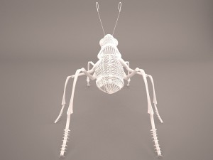 Ant 3D Model