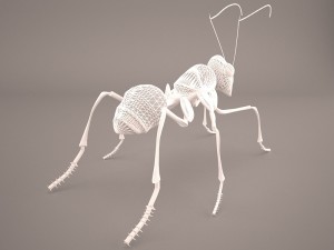Ant 3D Model