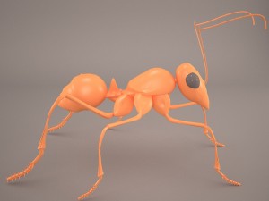 Ant 3D Model