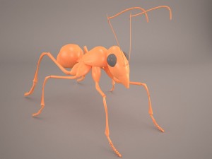 Ant 3D Model