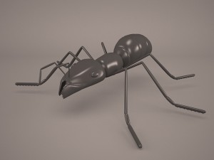 Ant animal 1 3D-Modell