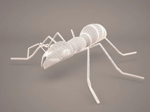 Ant animal 1 3D Model
