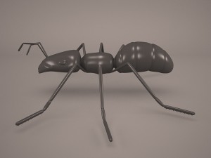 Ant animal 1 3D Model