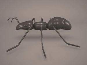 Ant animal 1 3D Model