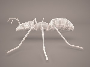Ant animal 1 3D Model