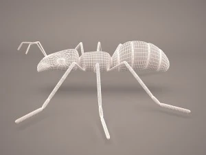 Ant animal 1 3D Model