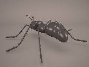Ant animal 1 3D Model
