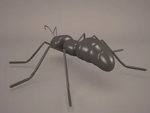 Ant animal 1 3D Model