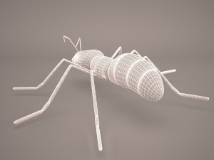 Ant animal 1 3D Model