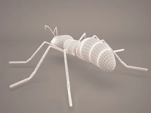 Ant animal 1 3D Model