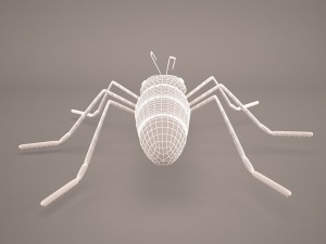 Ant animal 1 3D Model