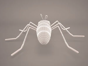 Ant animal 1 3D Model
