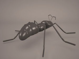 Ant animal 1 3D Model