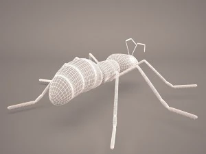 Ant animal 1 3D Model