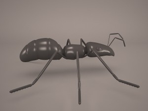 Ant animal 1 3D Model