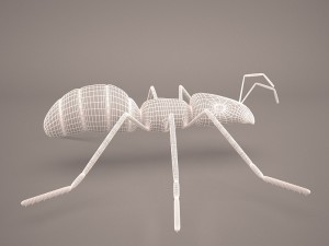 Ant animal 1 3D Model