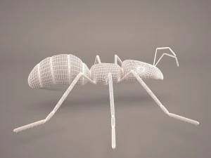 Ant animal 1 3D Model