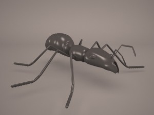 Ant animal 1 3D Model