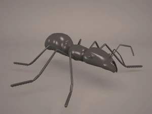 Ant animal 1 3D Model