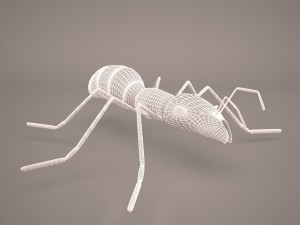 Ant animal 1 3D Model