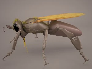 Bee character 3D Model