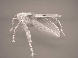 Bee character 3D Model