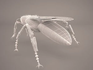 Bee character 3D Model