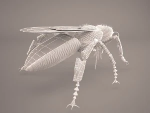 Bee character 3D Model