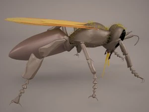 Bee character 3D Model