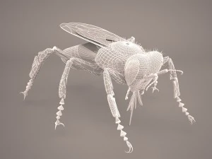 Bee character 3D Model