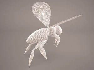 Bee character 1 3D Model