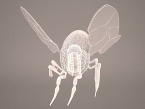 Cartoon bee 3D Модель